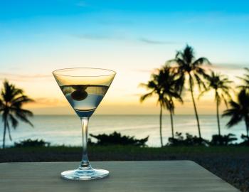 dolphin tiki bar marco island